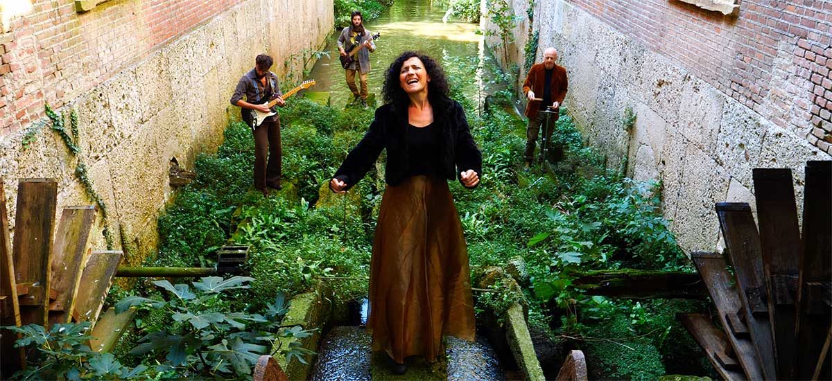 SentimentoPop1200x550 SentimentoPop1200x550